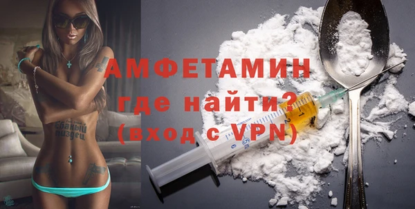 прущие грибы Белая Холуница