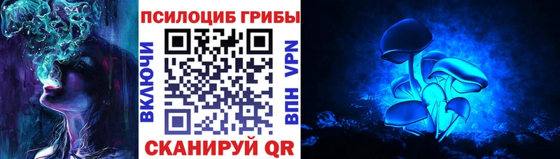 сколько стоит  мега вход  Галлюциногенные грибы Cubensis  Венёв 