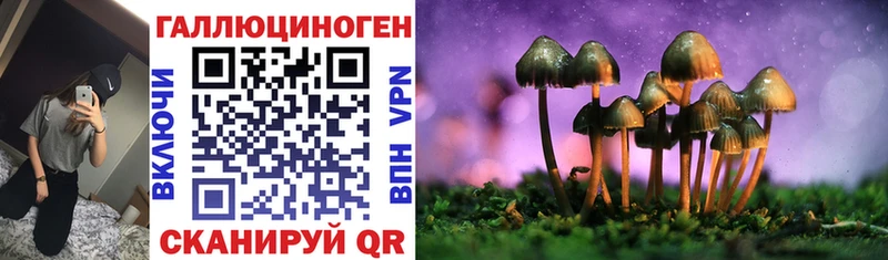 Галлюциногенные грибы Psilocybine cubensis Венёв